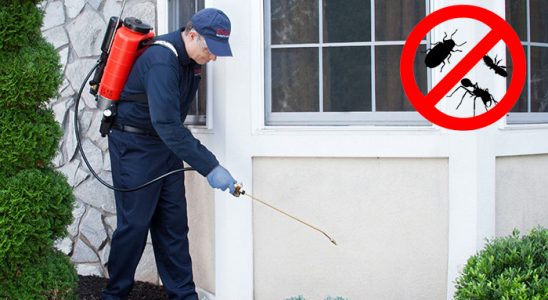Bağcılar Dezenfeksiyon böcek ilaçlama ve haşere kontrolü — ilaclama-tr.com